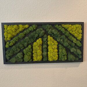Zen Geometric Moss Wall Art